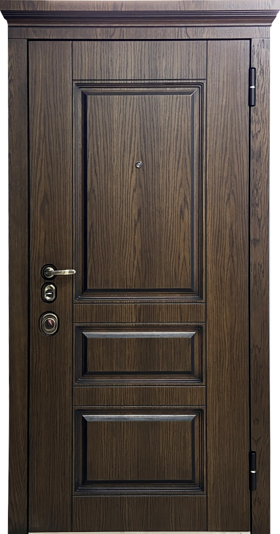 Дверь металлическая нестандартная ЛД-841 винорит/цвет темный дуб